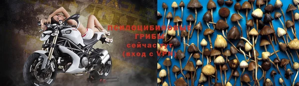 марки nbome Белокуриха