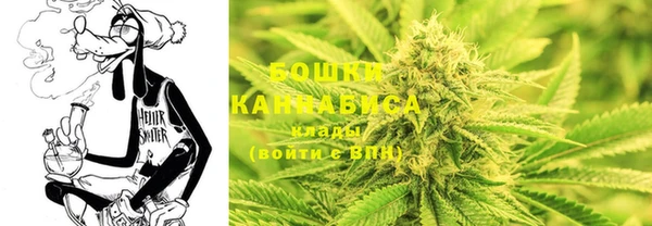 амф Белоозёрский