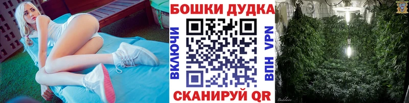 дарнет шоп  Магас  МАРИХУАНА AK-47 